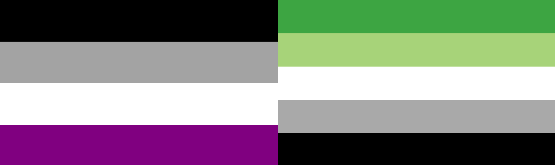 Half of the screen is taken up by the asexuality flag, and half by the aromantic flag
